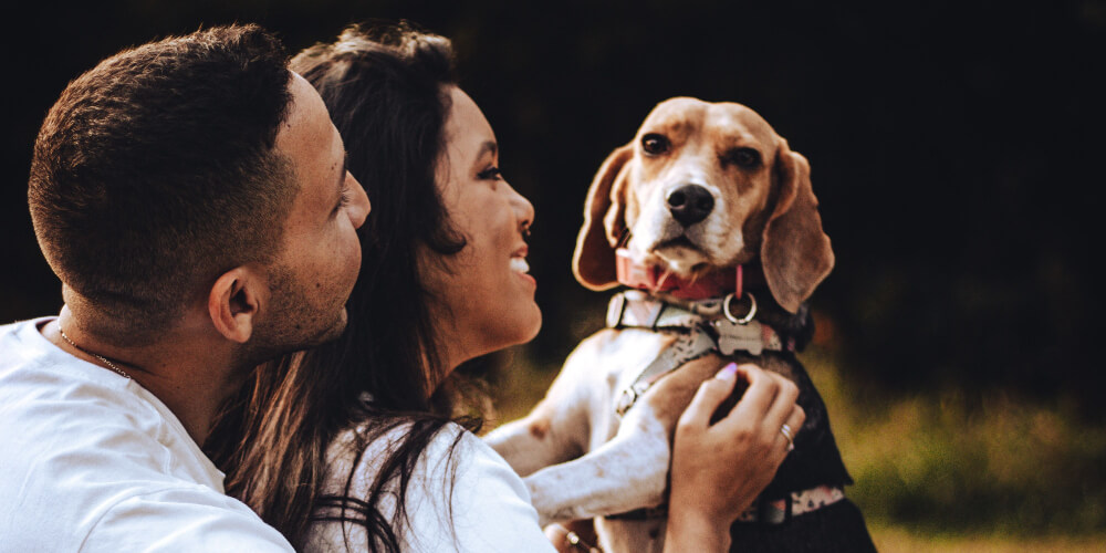 Couple holding their beagle outdoors at golden hour, representing pet photo shoots in Columbia